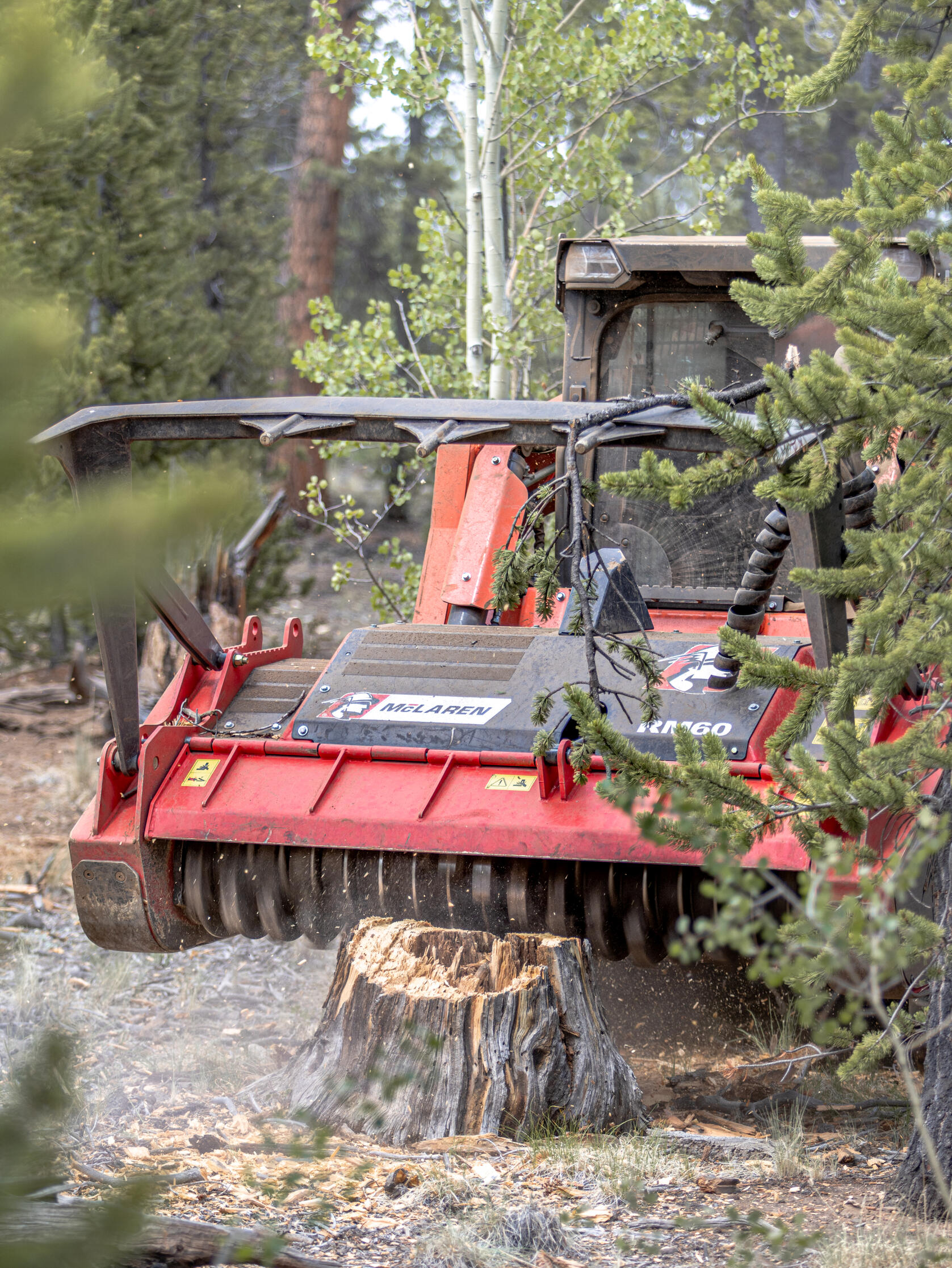 Professional wildfire mitigation services reducing hazardous forest fuels and creating defensible space for homes in Summit County, Colorado.