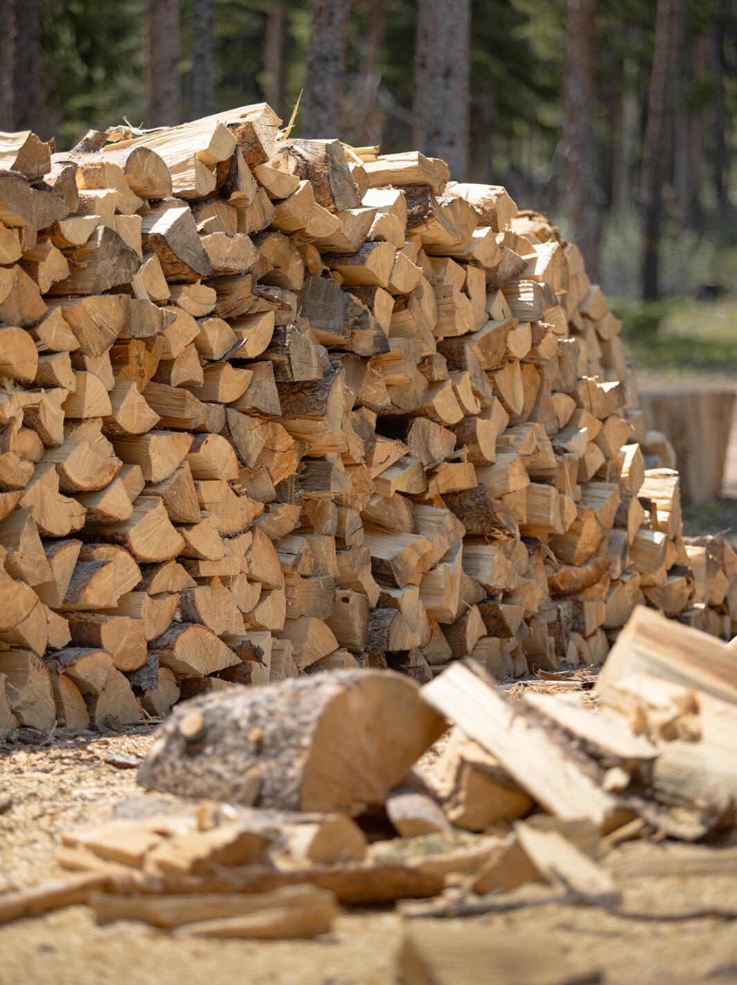 Firewood being professionally processed with a chainsaw for customers in Breckenridge and surrounding mountain communities.